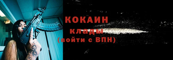 шишки Покровск
