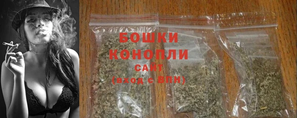 шишки Покровск