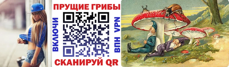 Галлюциногенные грибы MAGIC MUSHROOMS площадка официальный сайт Анадырь как найти